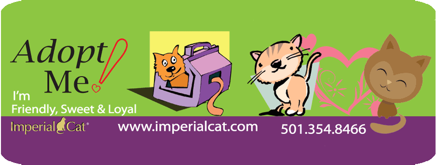 Imperial Cat Adopt A Cat Program