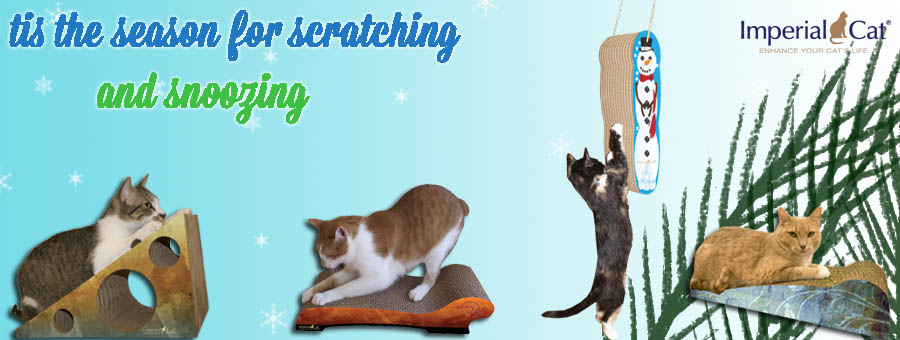 Imperial Cat Enhancing Your Cat's Life