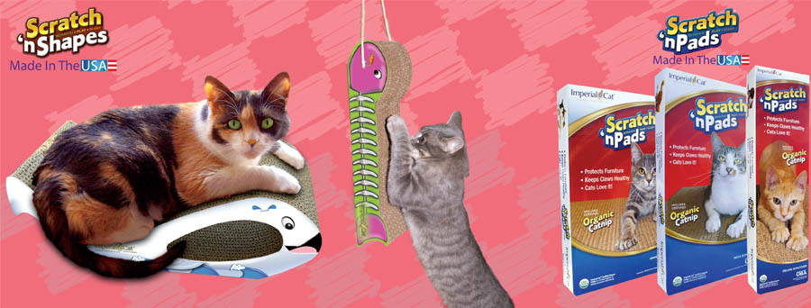 Imperial Cat Enhancing Your Cat's Life