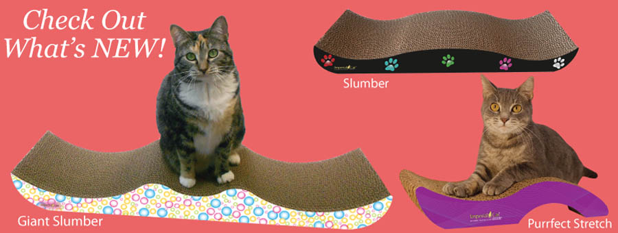 Imperial Cat Enhancing Your Cat's Life