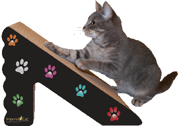 With FREE 35g Bag of Catnip Pets Imperial® Stunning Grey King Cat Scratcher Lounger 86cm x 27cm x 27cm