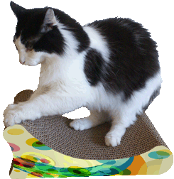 With FREE 35g Bag of Catnip Pets Imperial® Stunning Grey King Cat Scratcher Lounger 86cm x 27cm x 27cm
