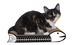 Fishbone with skeleton print by Imperial Cat
