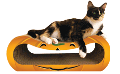 Squished Pumpkin by Imperial Cat