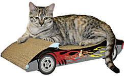 Vehicle Scratch n Shapes by Imperial Cat