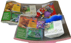 Seasonal Cat and Kitten Kits