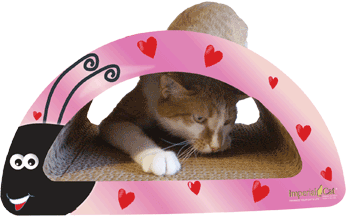 lovebug