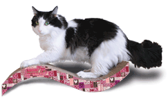 Purrfectly In Love - Purrfect Stretch by Imperial Cat